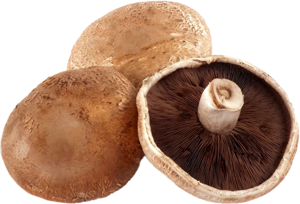 Champignon Portobello (5lb/2,68kg)