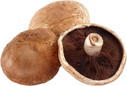 Champignon Portobello (5lb/2,68kg)