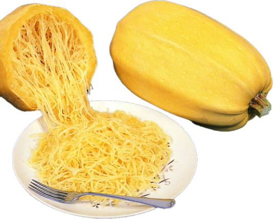 Courge Spaghetti (40lb/18.14kg)