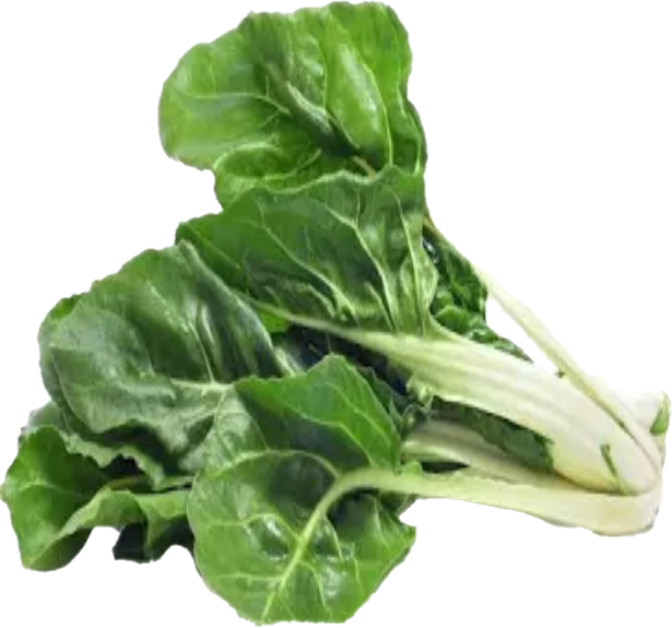 Swiss Chard Vert  24 (40lb/18.14kg)