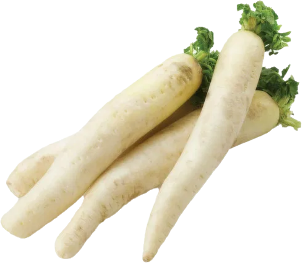 Daikon Floride (40lb/18.1kg)