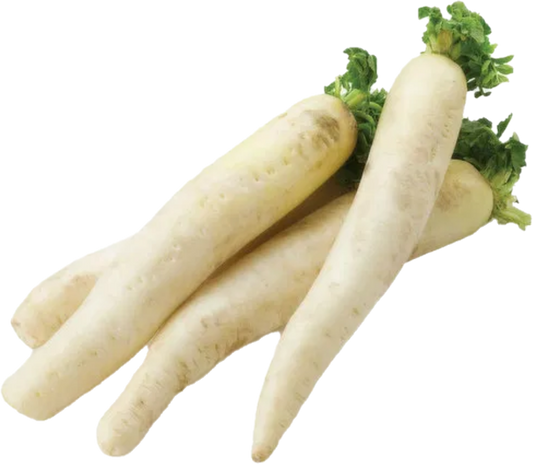 Daikon Floride (40lb/18.1kg)