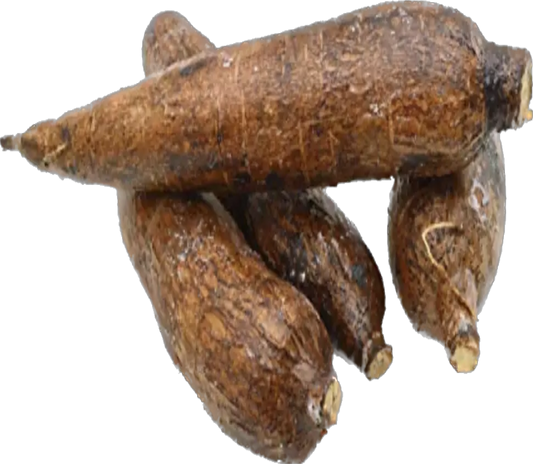 Yuca Costa Rica (30lb/13.6kg)