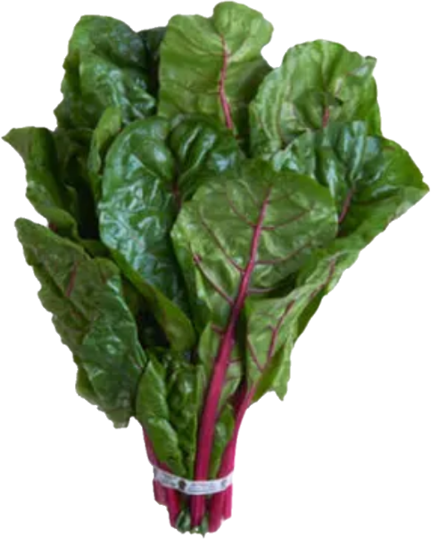 Swiss Chard Red 24 (40lb/18.14kg)