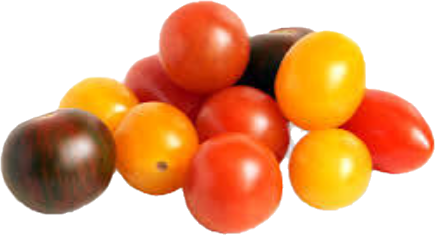 Tomate Cerise Medley 12 × 1 (10lb/4.53kg)