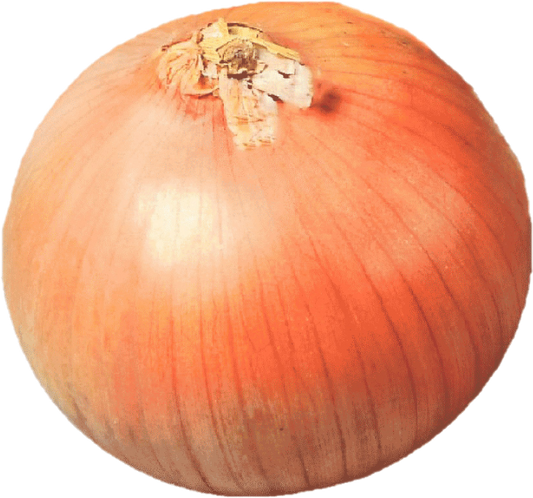 Oignon Espagnole (50lb/22.67kg)