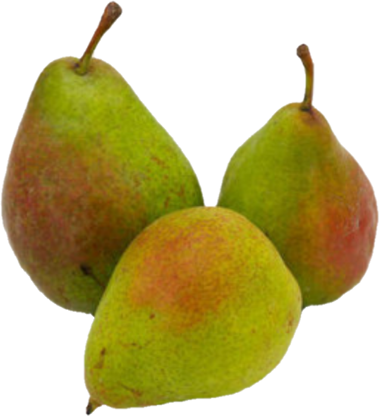 Poire Celina (27.5lb/12.5kg)