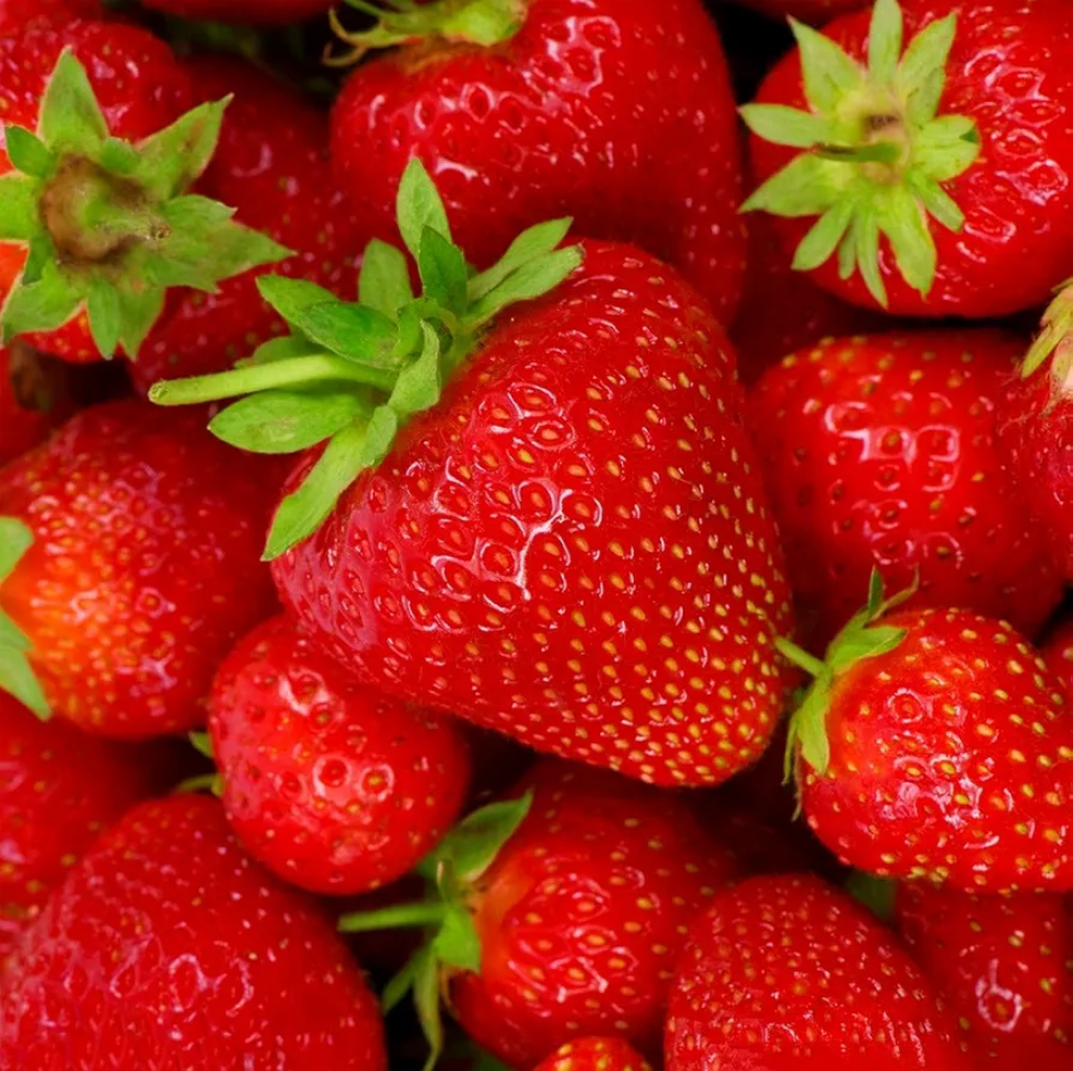 Fraise (8×1lb)