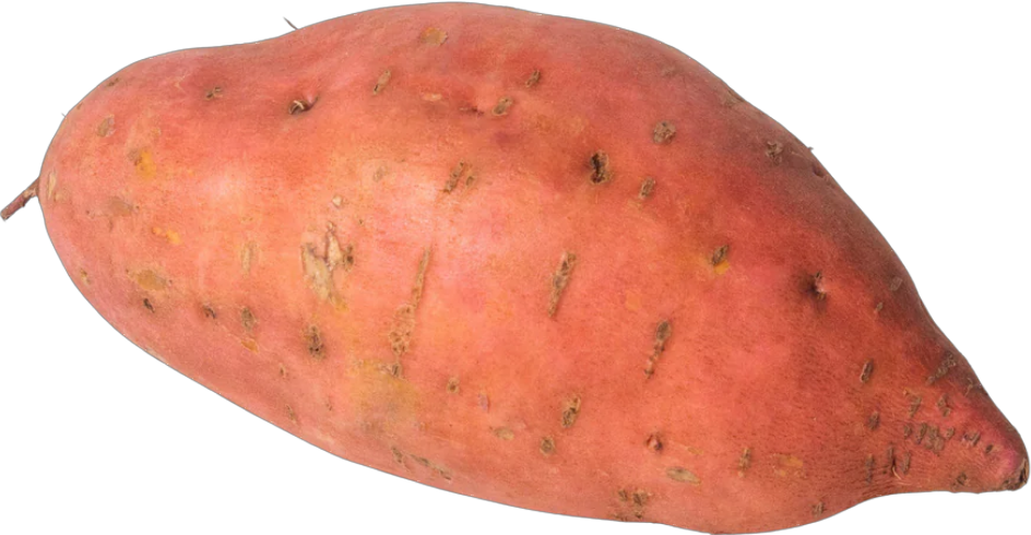Patate Sucrée