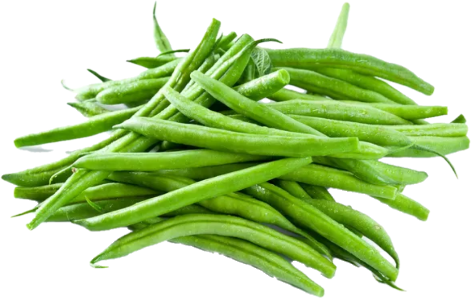 Haricot Vert  (25lb/11.34kg)