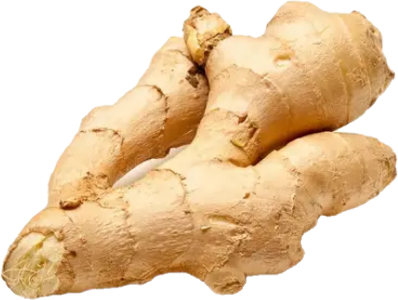 Gingembre Chine  (28lb/12.7kg)