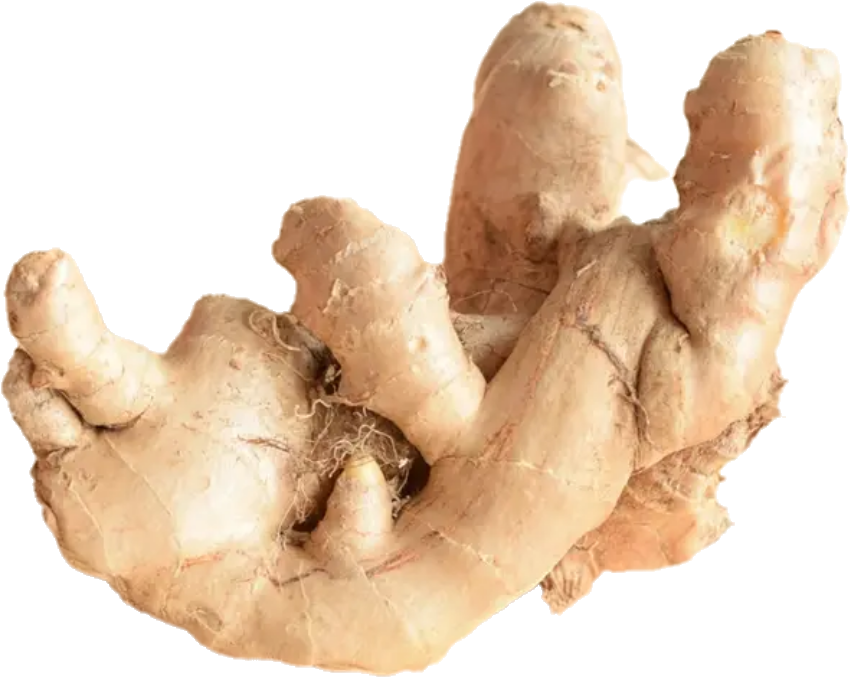 Gingembre Perou Organic(30lb/13.6kg)