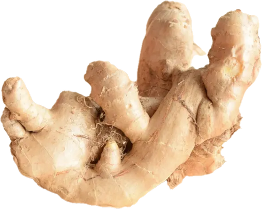 Gingembre Perou Organic(30lb/13.6kg)
