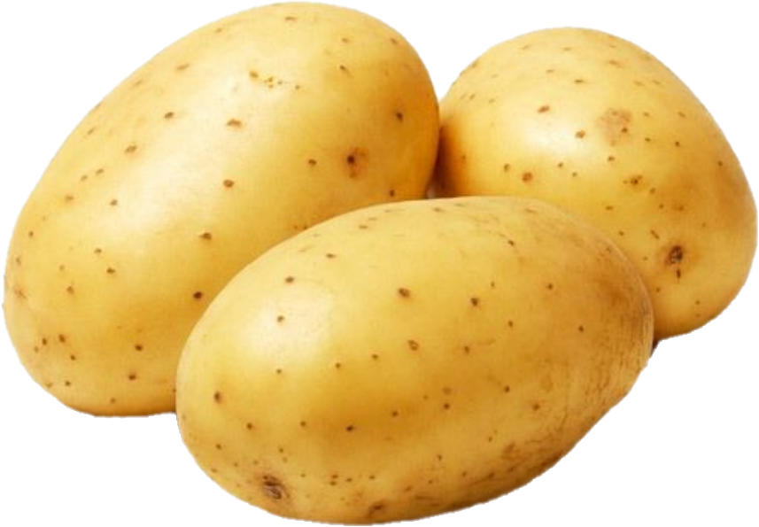 Patate Jaune Québec 10×5( 50lb/22.68kg)