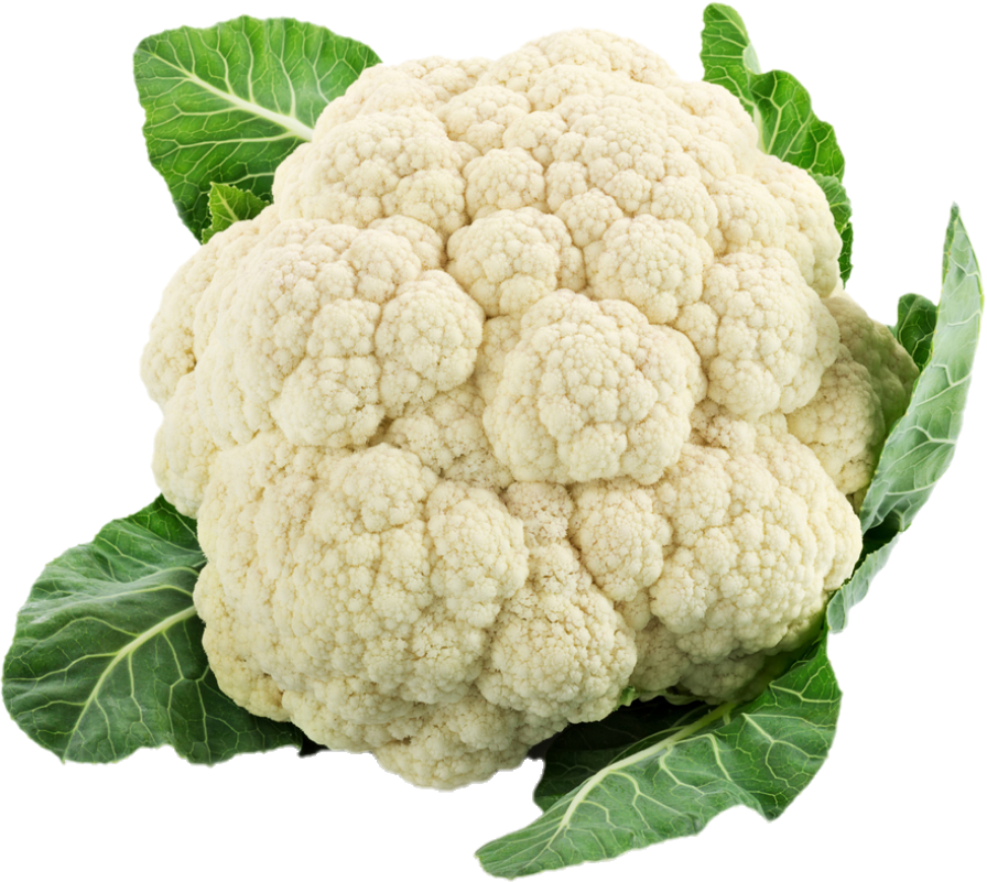 Chou-Fleurs 12 (30lb/13.6kg)