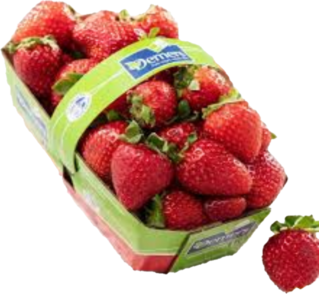Fraise Quebec(10×551ml)