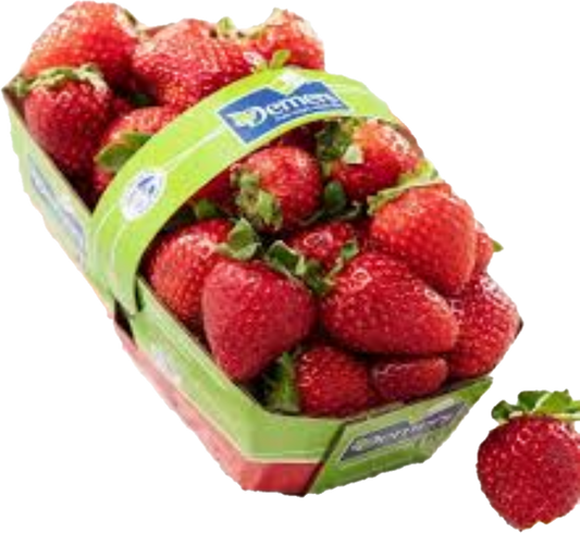 Fraise Quebec(10×551ml)