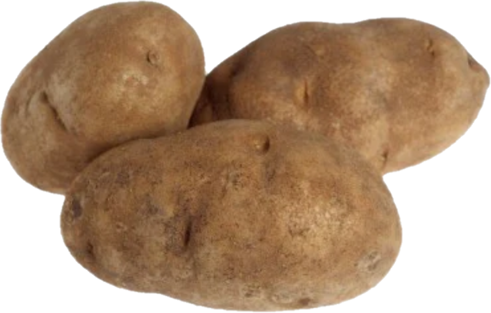 Patate Idaho États-Unis  10×5