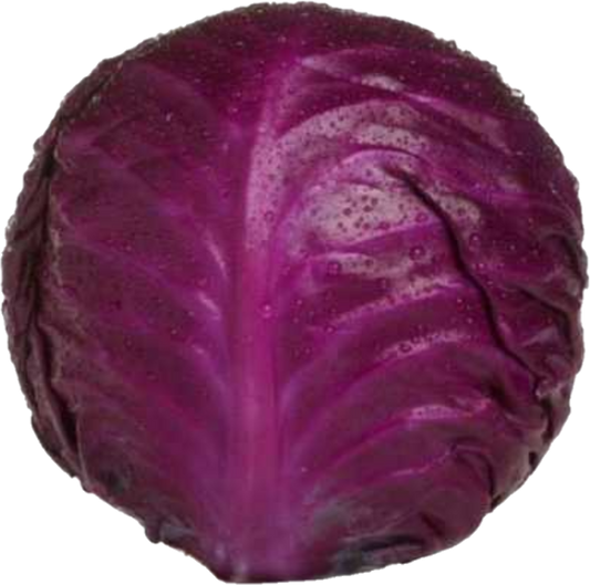 Choux Rouge (50lb/22.67kg)