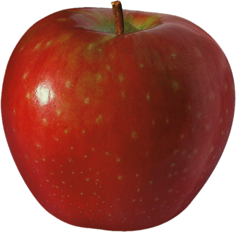 Pomme Sugar Bee 80,88,100 (40lb/18.1kg)