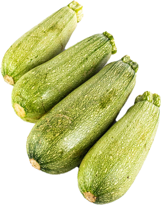 Courge Zuchini Blanc(25lb/11.33kg)
