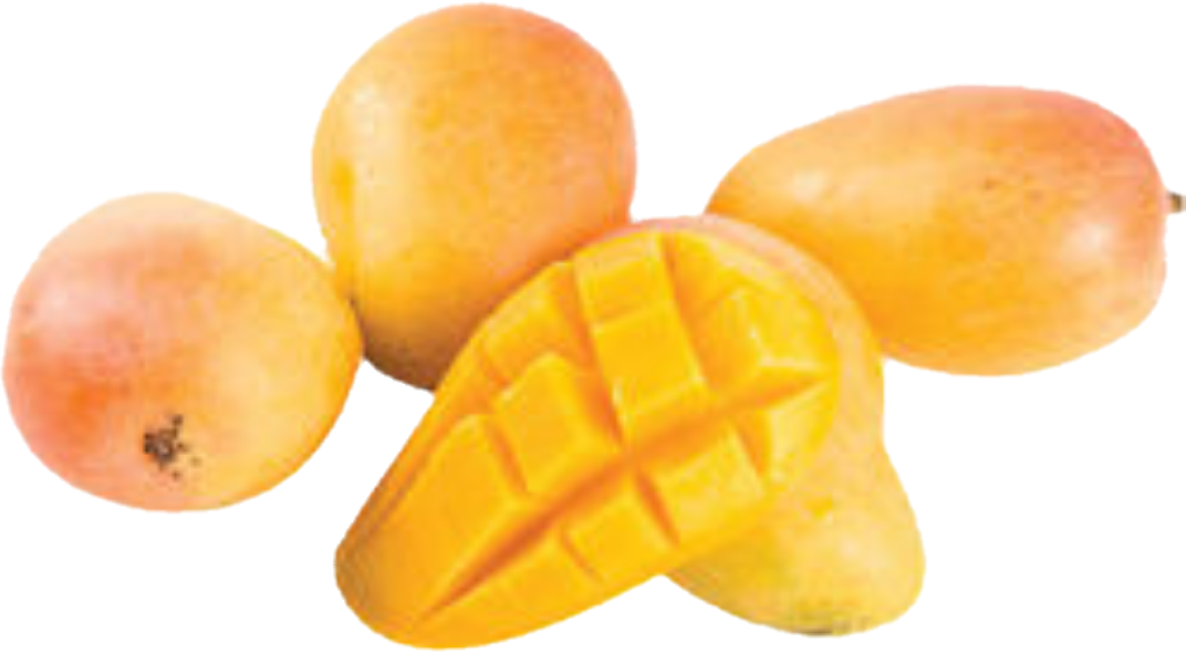 Mango Sugar small (2kg/4.4lb)