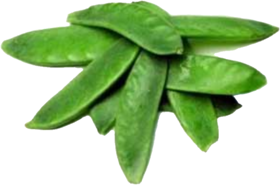 Haricot Mange Tout  (10lb/4.5kg)