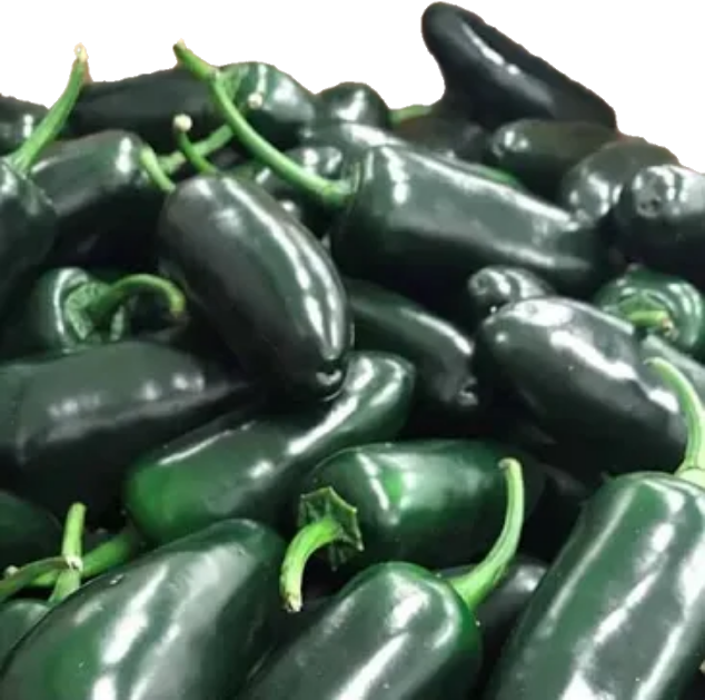 Piment Jalapeno Vert (35lb/15.88kg)