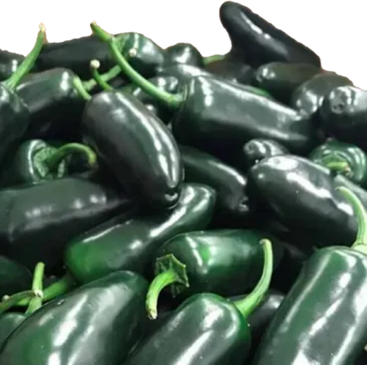 Piment Jalapeno Vert (35lb/15.88kg)