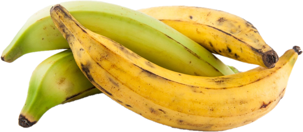 Banane Plantain Jaune (50lb/22.7kg)
