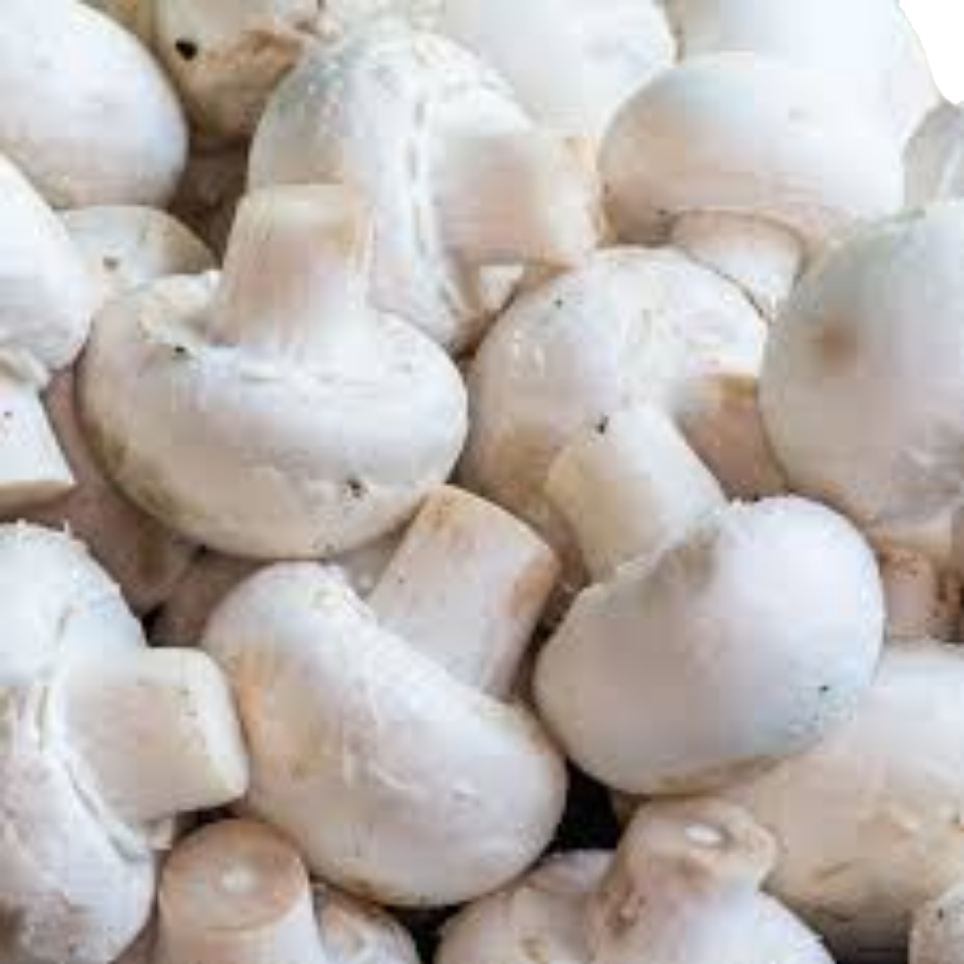 Champignon Loose #1 (5lb/2,68kg)