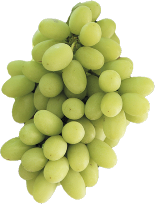 Rasin Vert Sans Pépin (18lb/8.1kg)