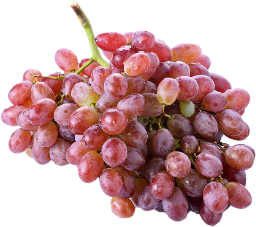 Rasin Rouge Sans Pépin (18lb/8.1kg)