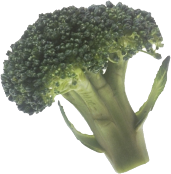 Brocoli (25lb/11.3kg)