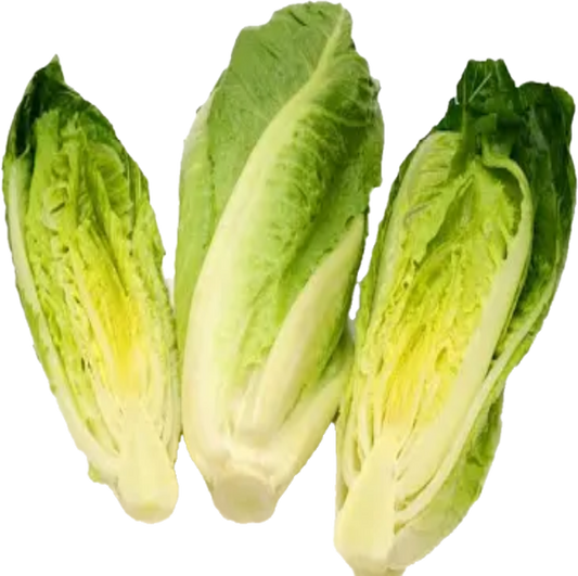 Laitue Romaine Coeur 12×3 (25lb/11.33kg)