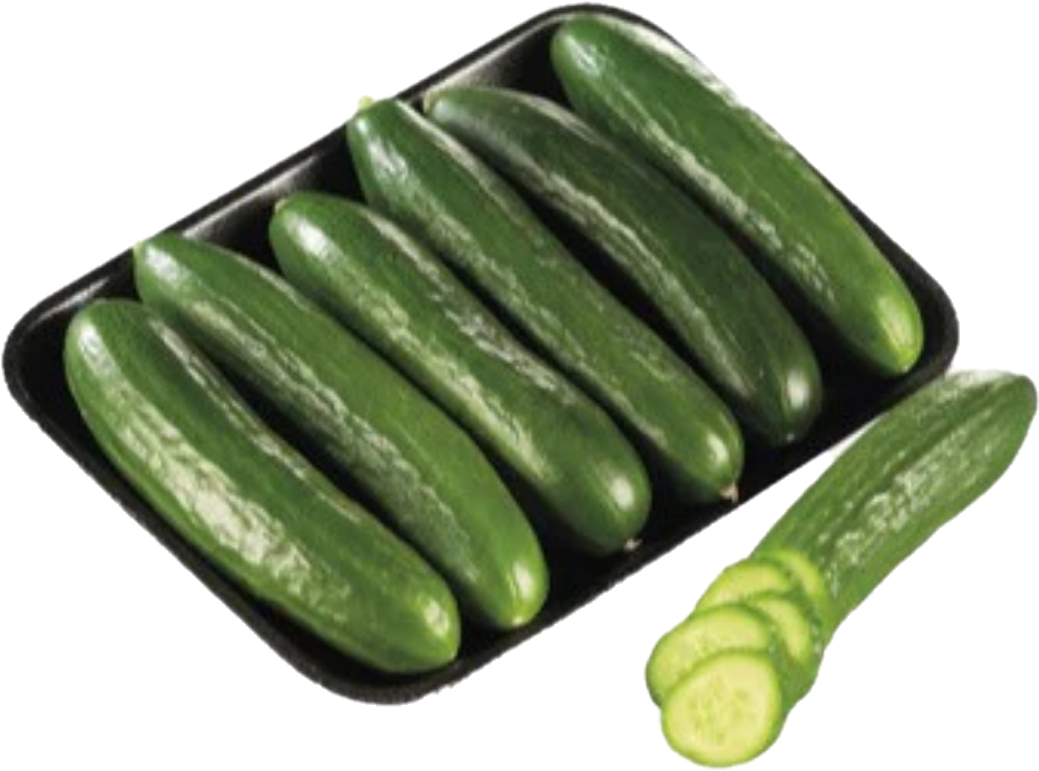Concombre Libanais 12×1(10lb/4.53kg)