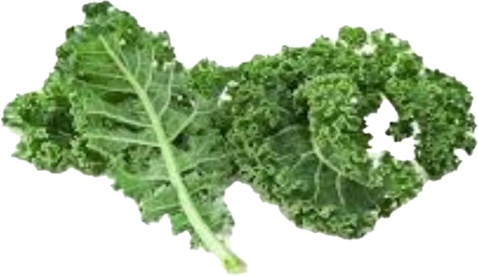 Kale Vert 24 (35lb/15.87kg)