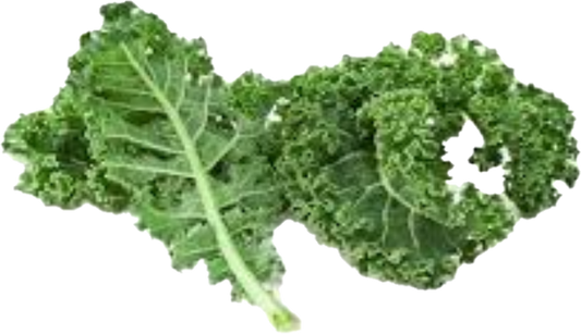 Kale Vert 24 (35lb/15.87kg)