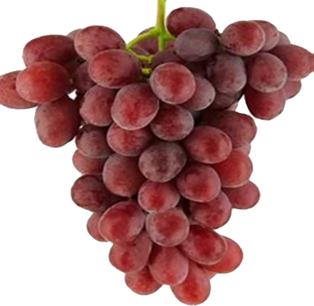 Raisin Timco Rouge (18lb/8.1kg)
