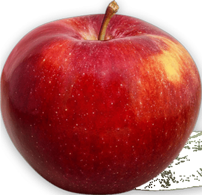Pomme Red Gala 113 (40lb/18.1kg)