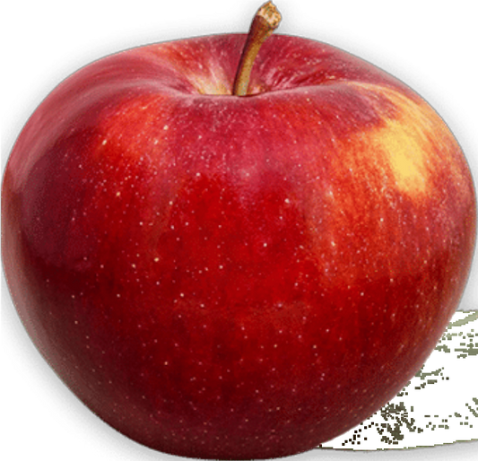 Pomme Red Gala 113 (40lb/18.1kg)