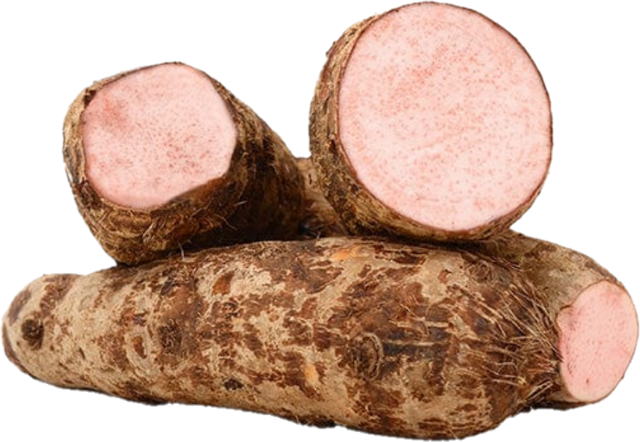 Malanga Lila (50lb/22.67kg)