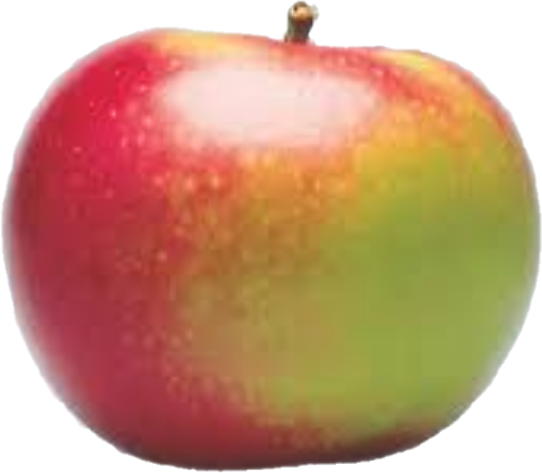 Pomme Locale Mcintosh (40lb/18.1kg)
