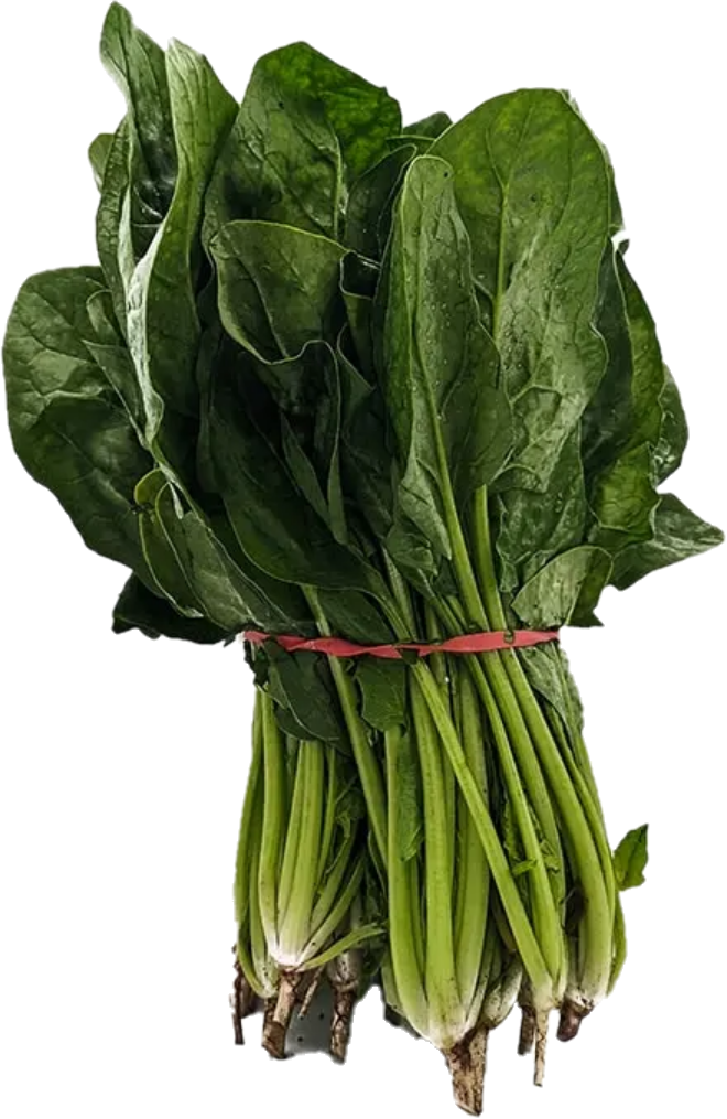 Épinard Bunch 24 (25lb/11.33kg)
