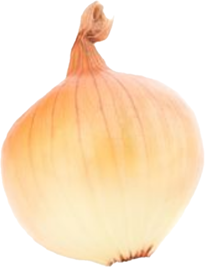 Oignon  Colossal