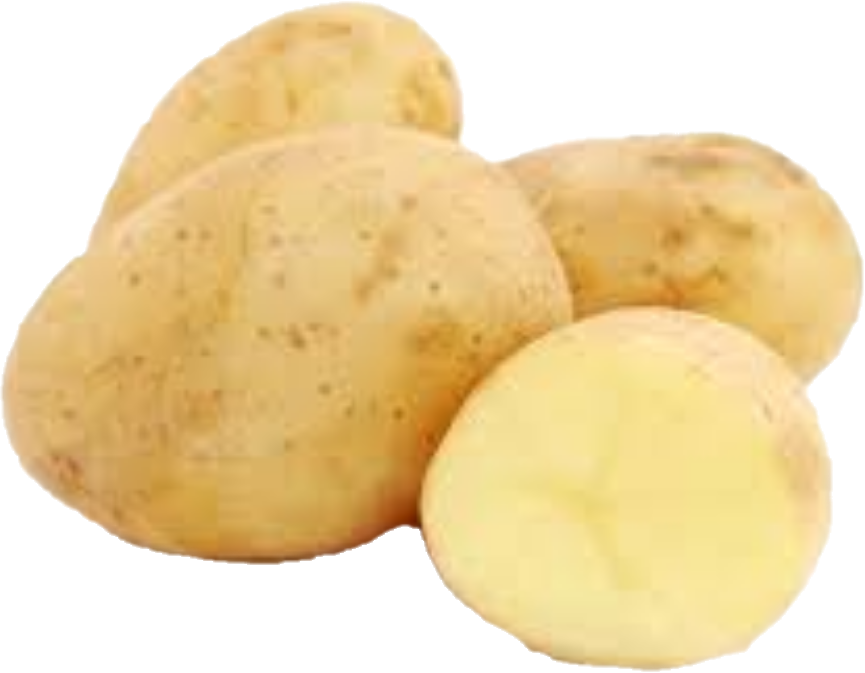 Patate Blanche ( 50lb/22.68kg)