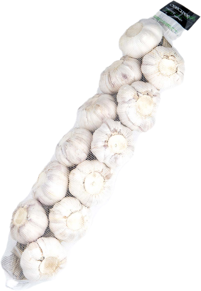 Ail Tresse 20×500(22lb/10kg)