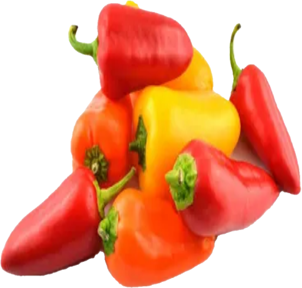 Piment Mini Sweet  12×1