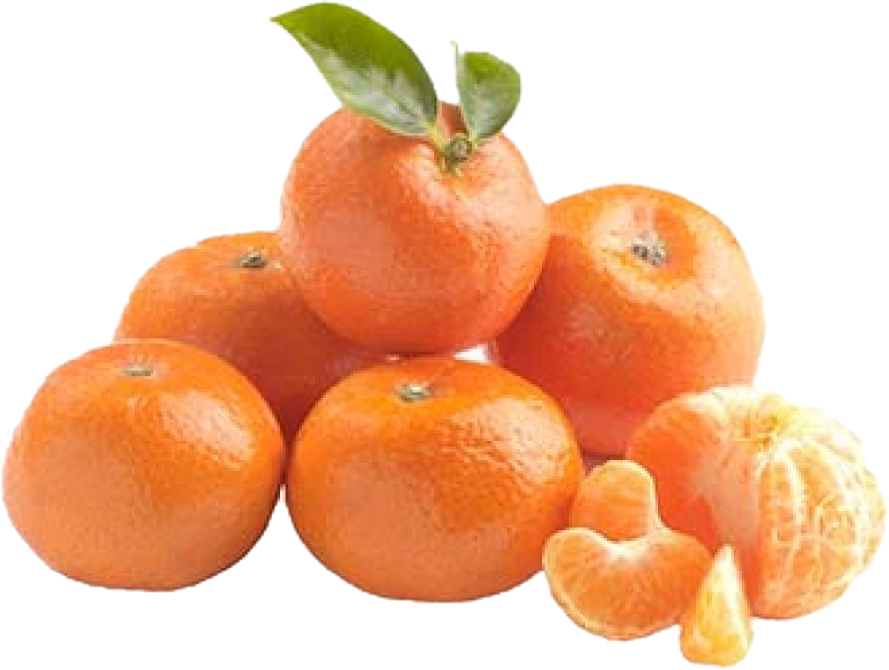 Clémentine Orri (7kg/15.4lb)