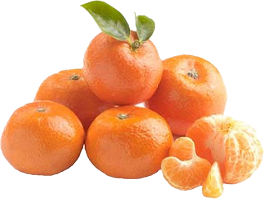 Clémentine Orri (7kg/15.4lb)